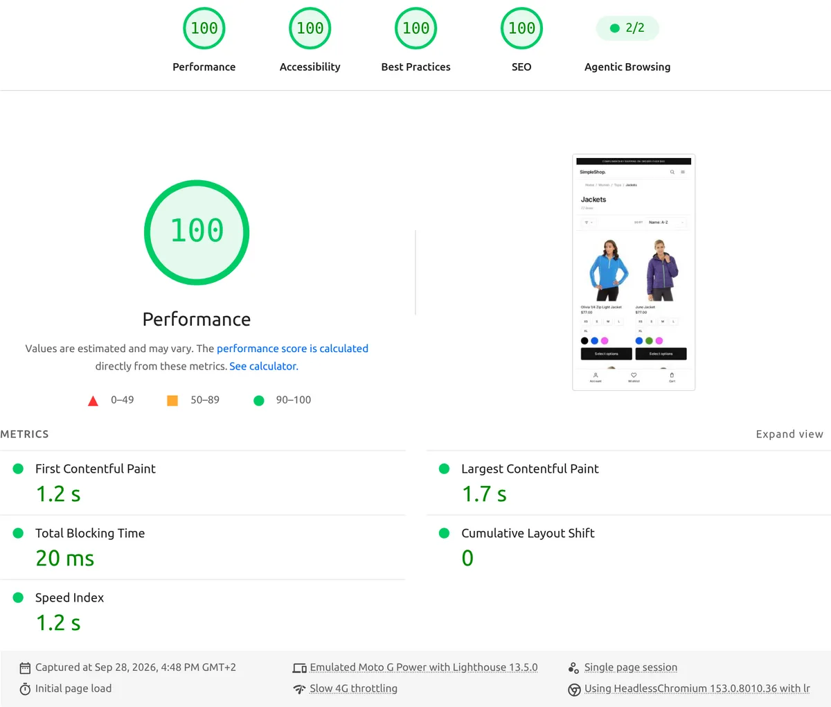 Category Page — PageSpeed Insights mobile result