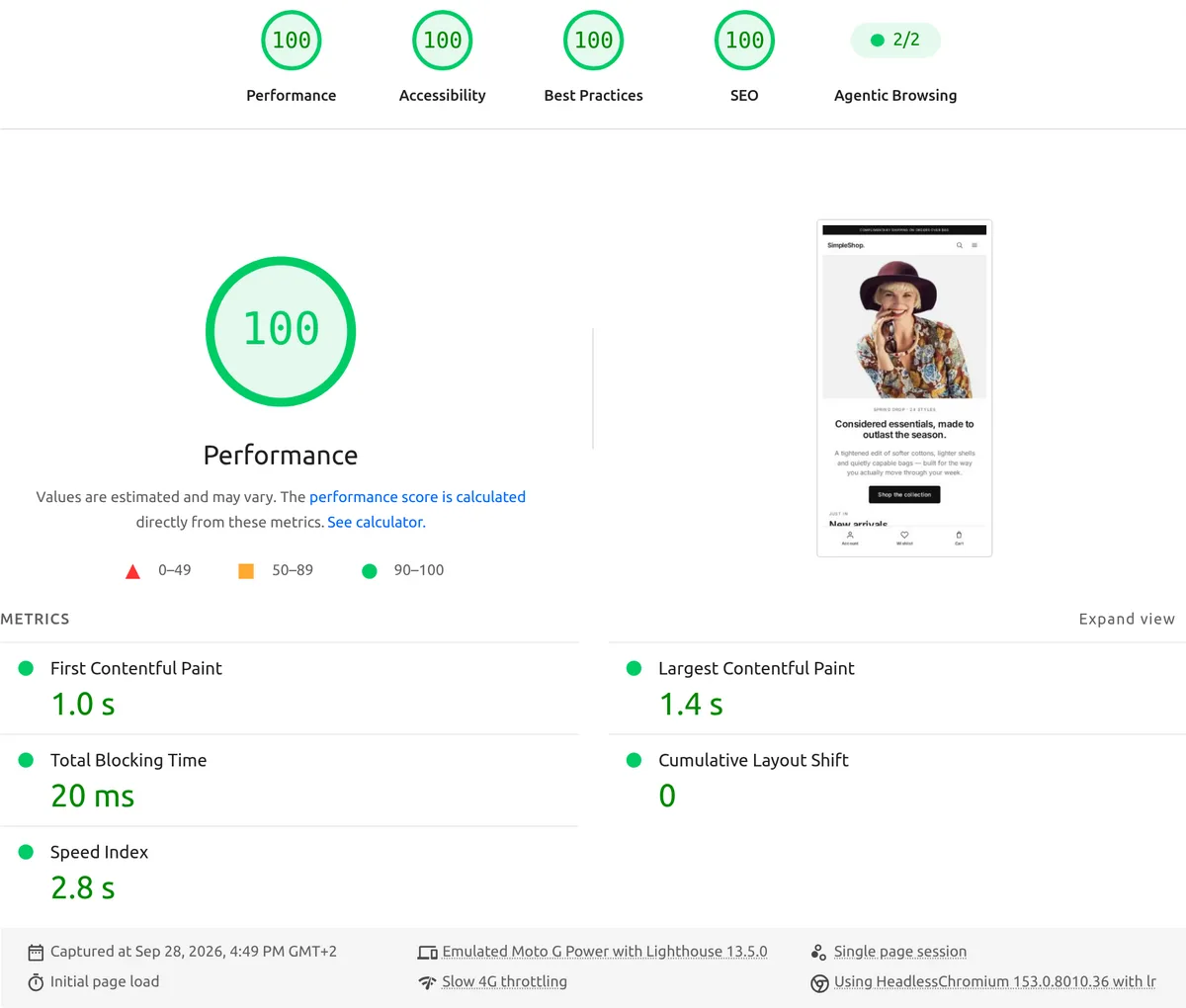Home Page — PageSpeed Insights mobile result