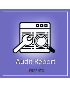 Audit Report